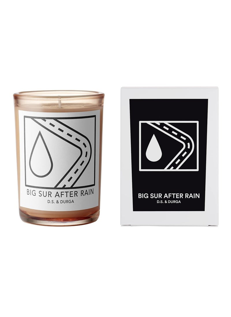D.S. & DURGA D.S. & DURGA Big Sur after Rain Candle  - Image 3