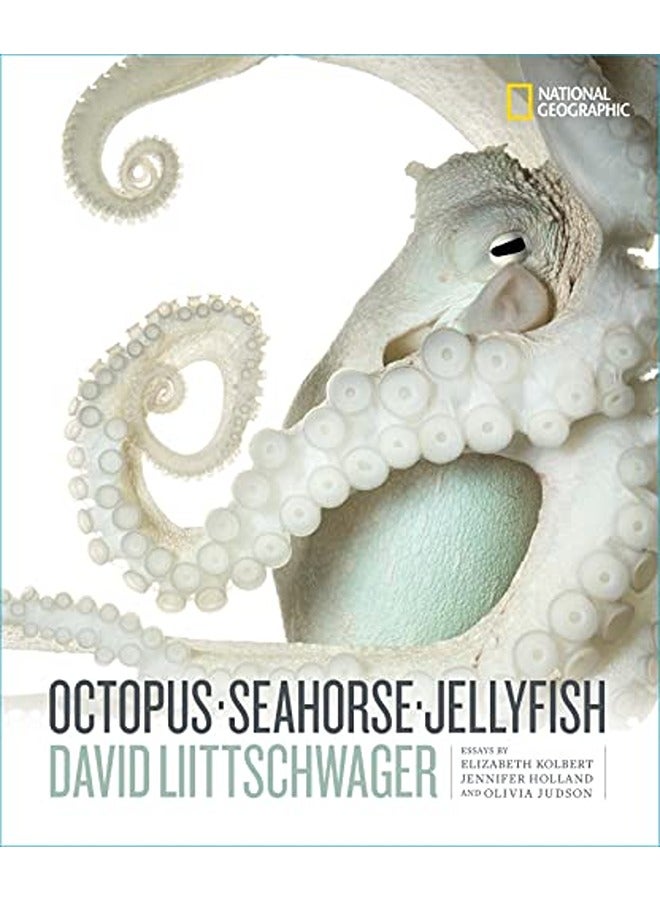 Octopus, Seahorse, Jellyfish