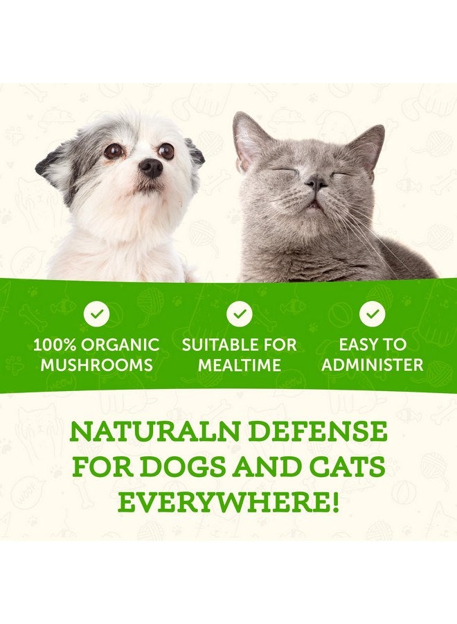 انيمال إيسينشالز مكمل غذائي من فطر مايتاكي من Animal Essentials Wellness للكلاب والقطط - استجابة مناعية صحية، يدعم وظيفة الدورة الدموية، دفاع مناعي حاسم، مستخلص مسحوق الفطر - 2.8 أونصة (عبوة من قطعة واحدة) - Image 5