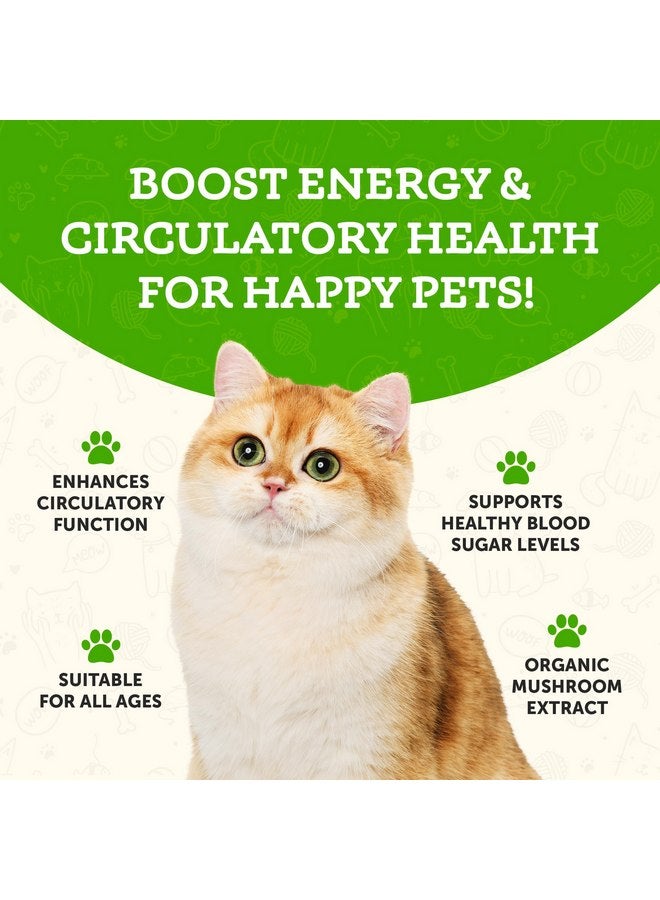 انيمال إيسينشالز مكمل غذائي من فطر مايتاكي من Animal Essentials Wellness للكلاب والقطط - استجابة مناعية صحية، يدعم وظيفة الدورة الدموية، دفاع مناعي حاسم، مستخلص مسحوق الفطر - 2.8 أونصة (عبوة من قطعة واحدة) - Image 3