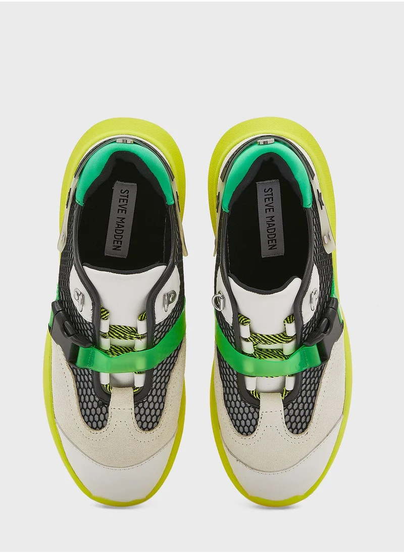 STEVE MADDEN Invest Low Top Sneakers