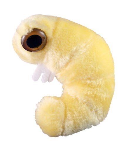 Giant Microbes GIANTmicrobes Bookworm Plush Learn About Science Microbes Books and Worms with This Adorable Gift for Friends Family Readers Librarians Scientists Bibliophiles Insect Fans and Nature Lovers - Image 1