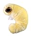 Giant Microbes GIANTmicrobes Bookworm Plush Learn About Science Microbes Books and Worms with This Adorable Gift for Friends Family Readers Librarians Scientists Bibliophiles Insect Fans and Nature Lovers - Image 4