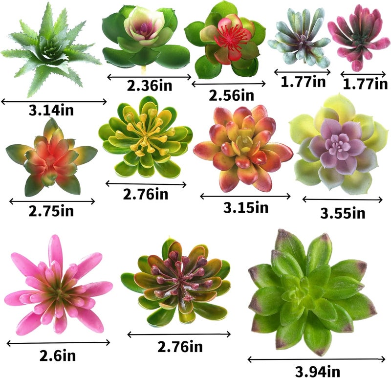 COTSEN Artificial Plastic Succulent Plants 24 Pack Fake Succulents Unpotted Realistic Faux Succulent Face Succulent Apply Family Wedding Decor - Image 5