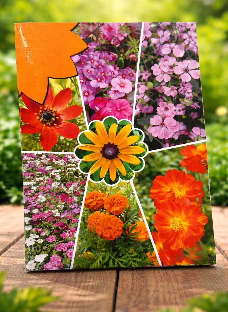 ڤسيل24 بذور زهور متنوعة للحديقة – زهور متعددة الألوان مزهرة للحدائق المنزلية والزراعة الخارجية - Image 1