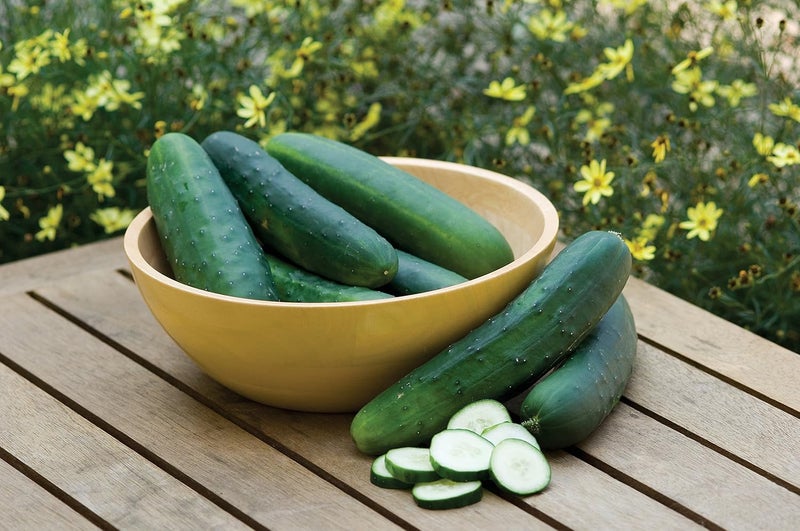 Burpee Hybrid II Slicing Cucumber Seeds 30 seeds - Image 2