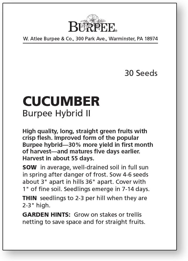 Burpee Hybrid II Slicing Cucumber Seeds 30 seeds - Image 4