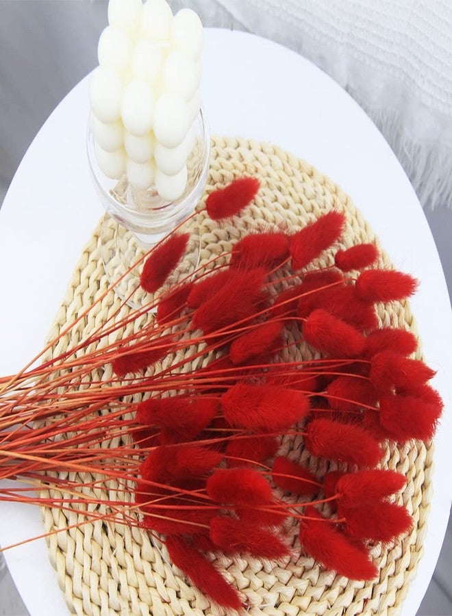 JOJAZE 60pcs Dried Bunny Tails Flowers Red Pampas Grass Natural Dried Floral Arrangement Dry Flowers for Christmas Halloween Boho Decor Home Wedding DIY Craft Decoration (16")… - Image 4