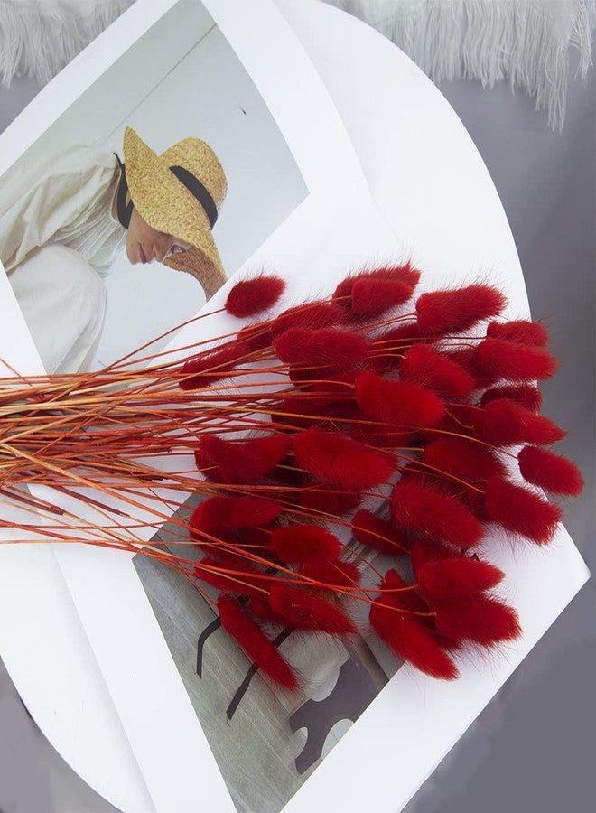 JOJAZE 60pcs Dried Bunny Tails Flowers Red Pampas Grass Natural Dried Floral Arrangement Dry Flowers for Christmas Halloween Boho Decor Home Wedding DIY Craft Decoration (16")… - Image 2