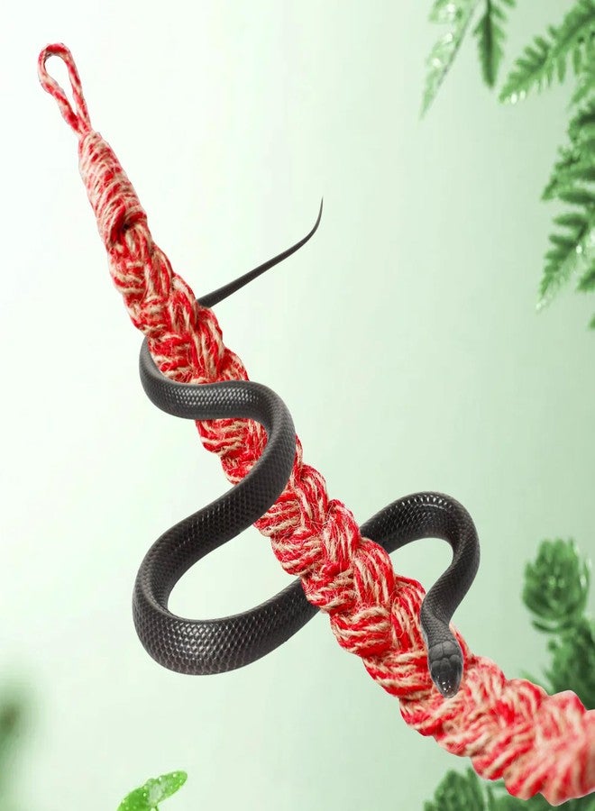 Neeenn Snake Climbing Toys, Hermit Crab Rope Ladder, Hermit Crab Supplies, Reptile Vines Toys, Reptile Tank Terrarium Accessories, Habitat Decor for Hermit Crab Lizards Geckos - Image 2