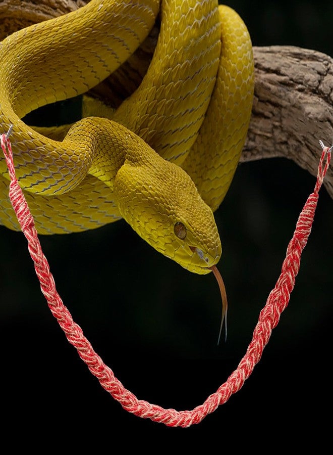 Neeenn Snake Climbing Toys, Hermit Crab Rope Ladder, Hermit Crab Supplies, Reptile Vines Toys, Reptile Tank Terrarium Accessories, Habitat Decor for Hermit Crab Lizards Geckos - Image 4