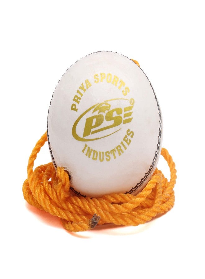PSE Priya Sports Leather Club Practice Hanging Cricket Ball White Pack of 5 - Image 1