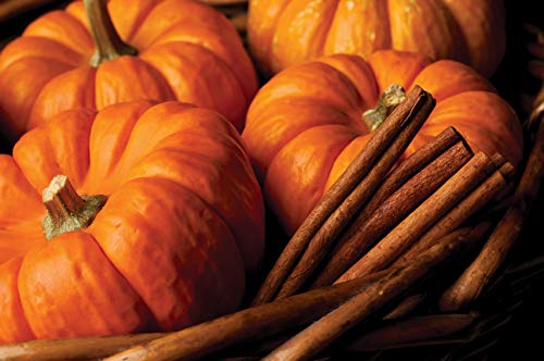 Root Candles Fall Scented Votive Candles Beeswax Blend Premium Handcrafted 20-Hour Votives, 18-Count, Pumpkin Spice - Image 3