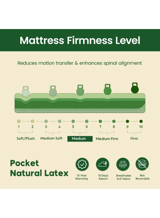 Easeliving Pocket Spring 7-Zone Natural Organic Latex King Size Mattress 180x200 cm – 30 cm Thick Medium Orthopedic Mattress with Breathable Knitted Fabric & Edge Support | GOLS Certified - Image 5