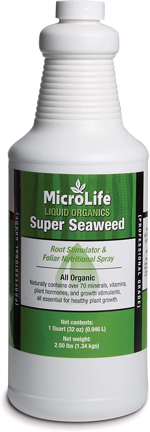 MicroLife Super Seaweed Professional Grade Organic Liquid Concentrate Root Stimulator & Foliar Nutritional Spray for All Plants, 1 Quart - Image 1
