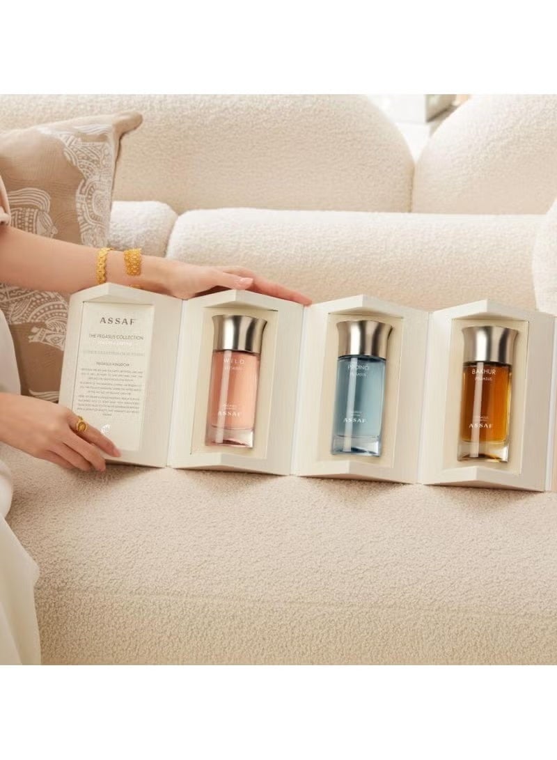 ASSAF Pegasus Group100ll - Image 1