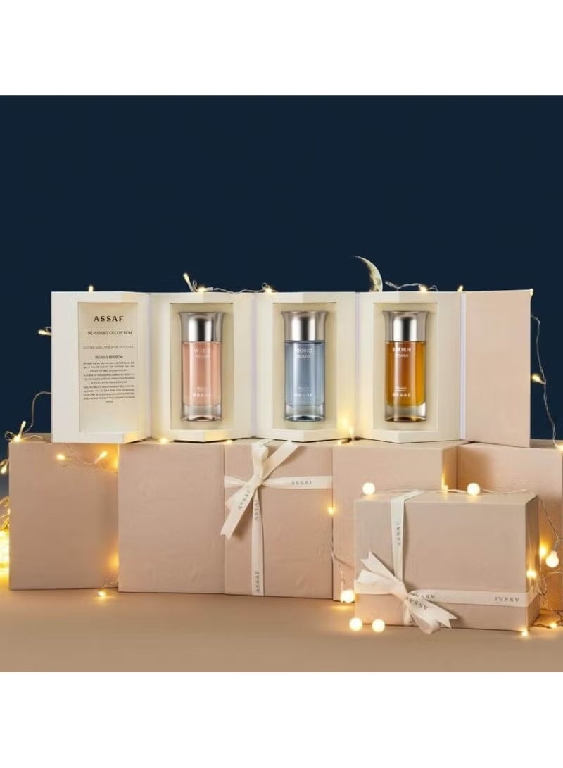 ASSAF Pegasus Group100ll - Image 4