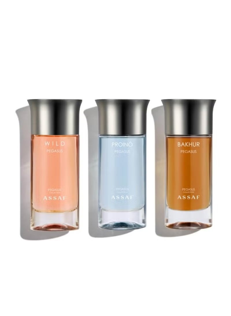 ASSAF Pegasus Group100ll - Image 5