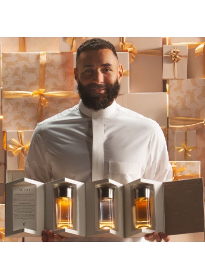 ASSAF Pegasus Group100ll - Image 2