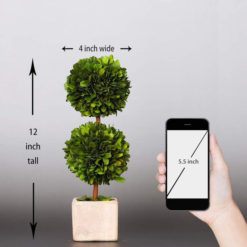 BOXWOOD WORLD BOXWOOD WORLD Potted Preserved Boxwood Topiary Green Plant for Home Decor Double Ball Shape 12 inch Tall (Boxwood Double Ball Topiary  12 INCH)  - Image 3