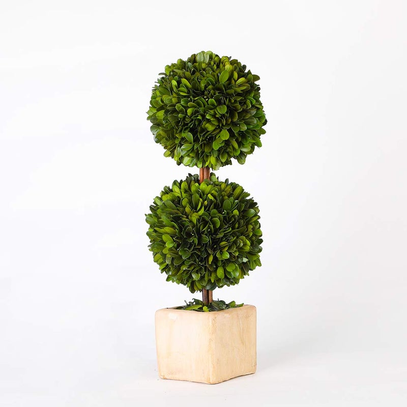 BOXWOOD WORLD BOXWOOD WORLD Potted Preserved Boxwood Topiary Green Plant for Home Decor Double Ball Shape 12 inch Tall (Boxwood Double Ball Topiary  12 INCH)  - Image 1