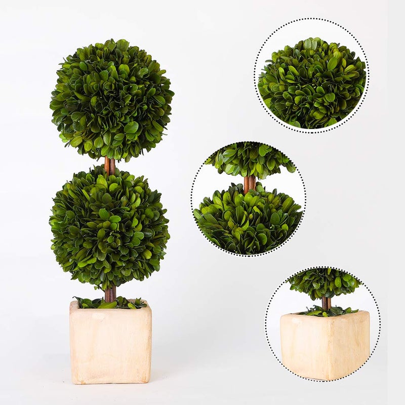 BOXWOOD WORLD BOXWOOD WORLD Potted Preserved Boxwood Topiary Green Plant for Home Decor Double Ball Shape 12 inch Tall (Boxwood Double Ball Topiary  12 INCH)  - Image 2