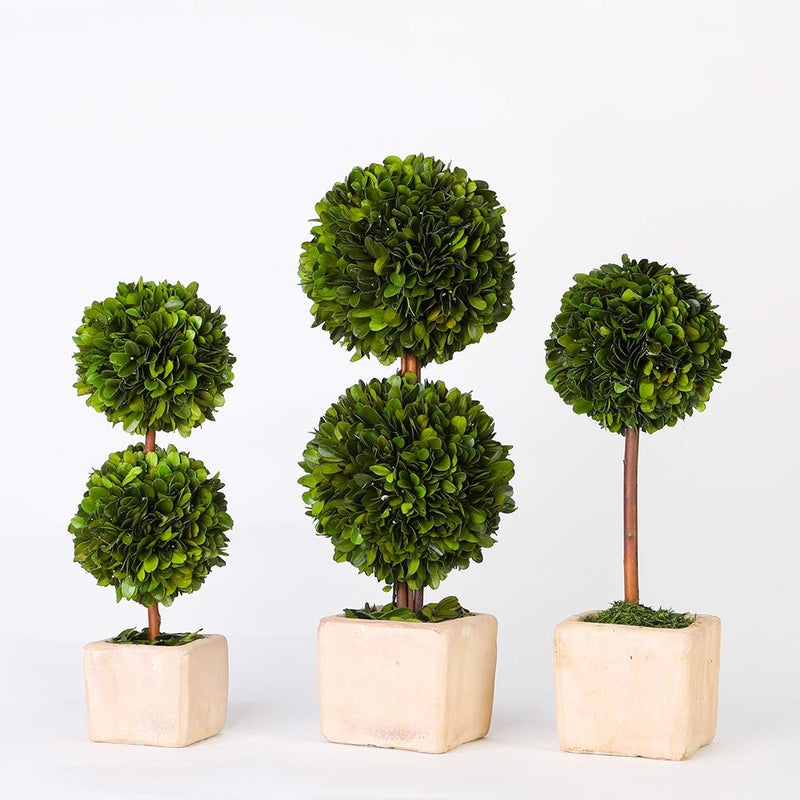BOXWOOD WORLD BOXWOOD WORLD Potted Preserved Boxwood Topiary Green Plant for Home Decor Double Ball Shape 12 inch Tall (Boxwood Double Ball Topiary  12 INCH)  - Image 5