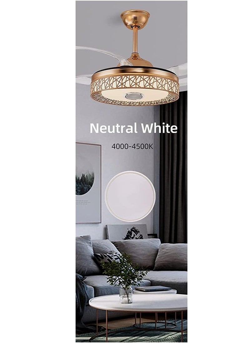 SUN SHINE - Ceiling Fan with LED light 4000K - Image 1
