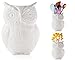 Comfify Owl Utensil Holder Decorative Ceramic Cookware Crock & Organizer, in Lovely White Color - Utensil Shaped Caddy - Image 2