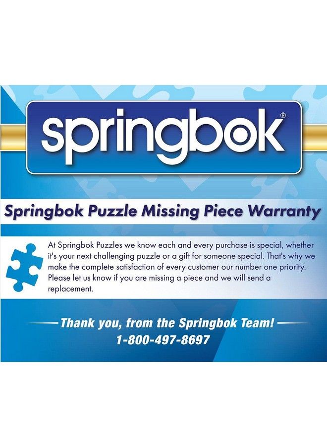 Springbok لعبة تركيب الصور المقطوعة S 1000 قطعة من Camping World صنع في الولايات المتحدة الأمريكية - Image 5