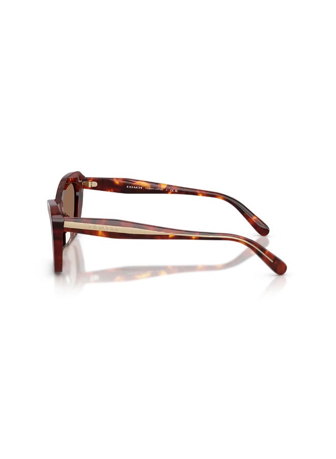 COACH Full Rim Women Cat Eye Sunglasses 54 0HC8452U - Image 3