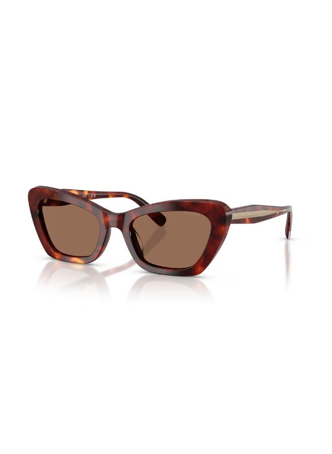 COACH Full Rim Women Cat Eye Sunglasses 54 0HC8452U - Image 1