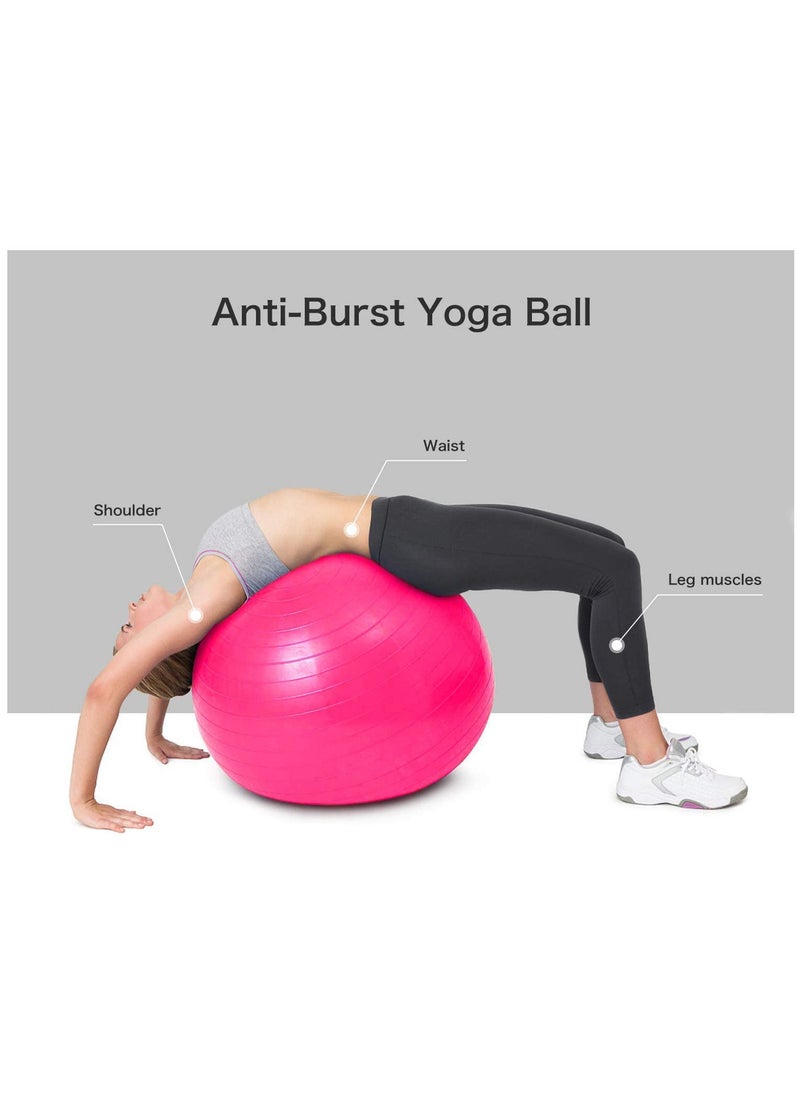 Ntech - Gym Ball Exercise Ball Anti Burst Yoga Ball With Quick Pump 55cm/65cm/75cm Thick Balance Ball Chair for Birthing Fitness Workout Stability Pilates Gym And Home (Pink) - Image 1