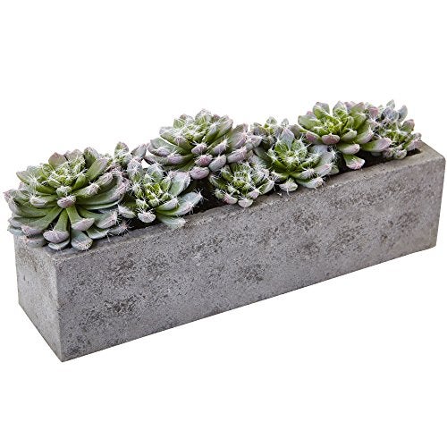 Nearly Natural Succulent Garden with Textured Concrete Planter - Image 1