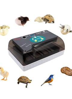 Digital Automatic Egg Incubator,Hatching Machine for Eggs Duck Birds Home Use,High-Efficiency Led Lighting Grey
