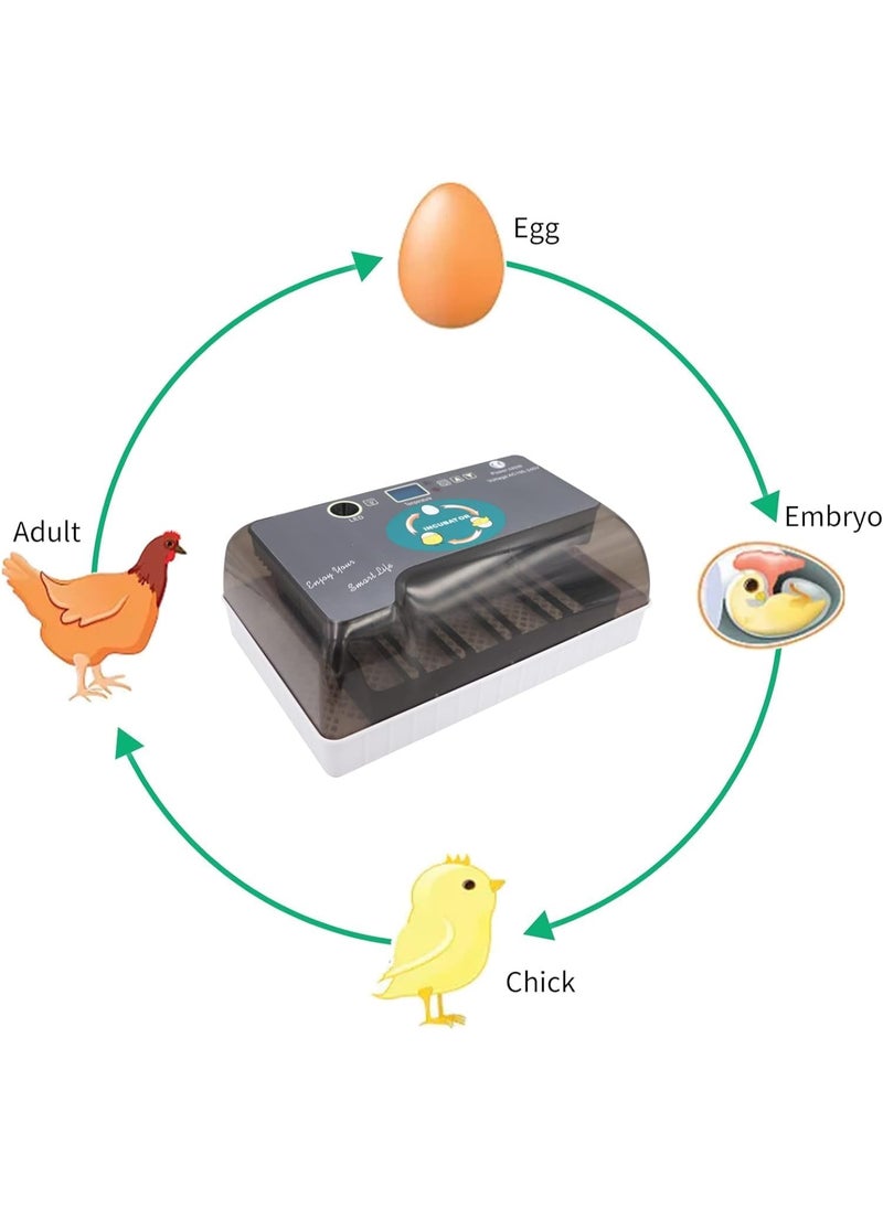 TANGBLIB - Digital Automatic Egg Incubator,Hatching Machine for Eggs Duck Birds Home Use,High-Efficiency Led Lighting Grey - Image 1