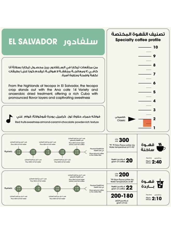 12 Cups El Salvador Tecapa Coffee Beans for V60 & Espresso Specialty Coffee Beans – Smooth & Balanced Coffee  250g - Image 2