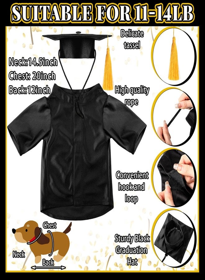 Bunnycool Dog Graduation Cap and Gown 2026 Washable Pet Graduation Costume for Dog Cat Shirt and Hat (Traditional,M,Black) - Image 2