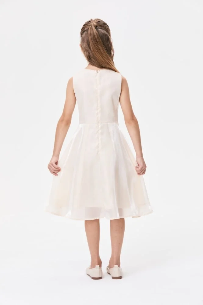 Tenda Crisscross Bodice Dress