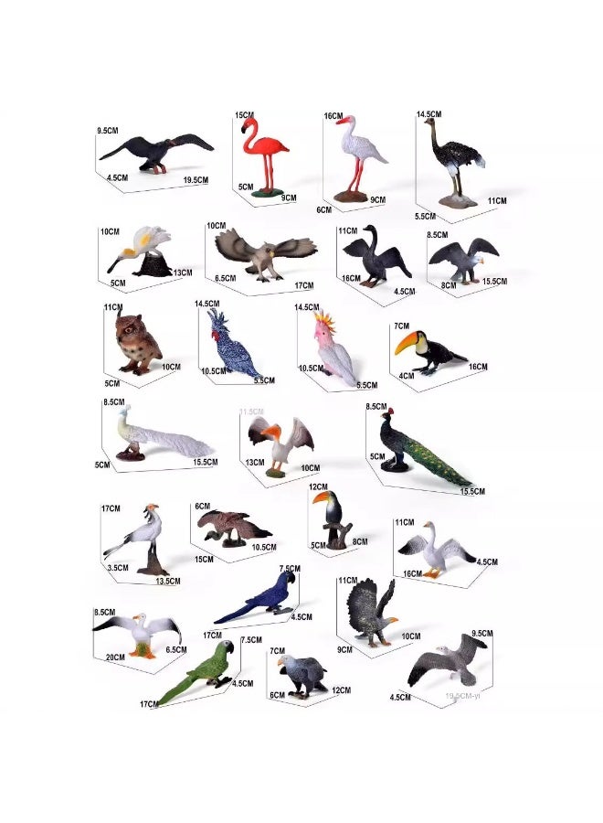 NIBEMINENT Realistic Bird Animal Model Set