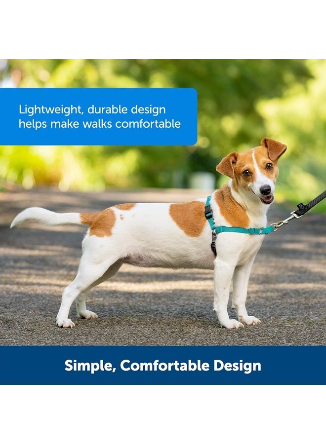 PetSafe Easy Walk Harness, Medium, Deep Purple & Black for Dogs