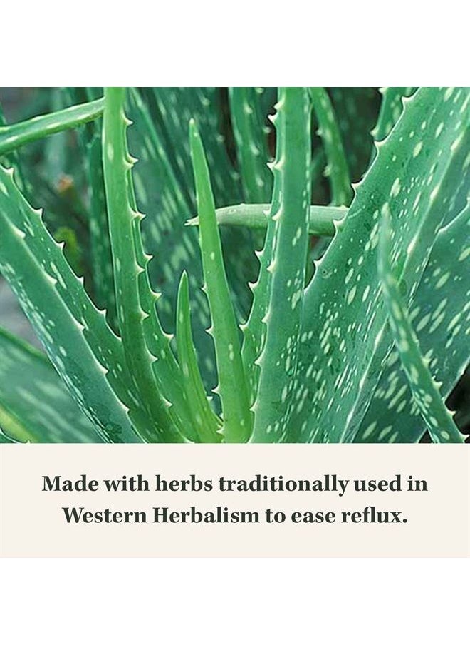 Gaia Herbs - Reflux Relief - with Marshmallow Root, Chamomile, Aloe, Licorice, and High Mallow - Helps with Occasional Heartburn and Relieve Indigestion - 45 Chewable Tablets (45-Day Supply) - Image 1