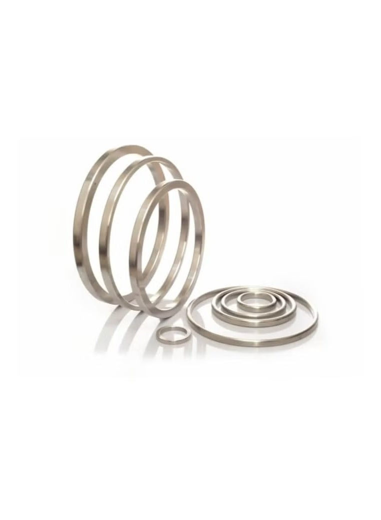 Soft Iron RTJ Octagonal - Image 1