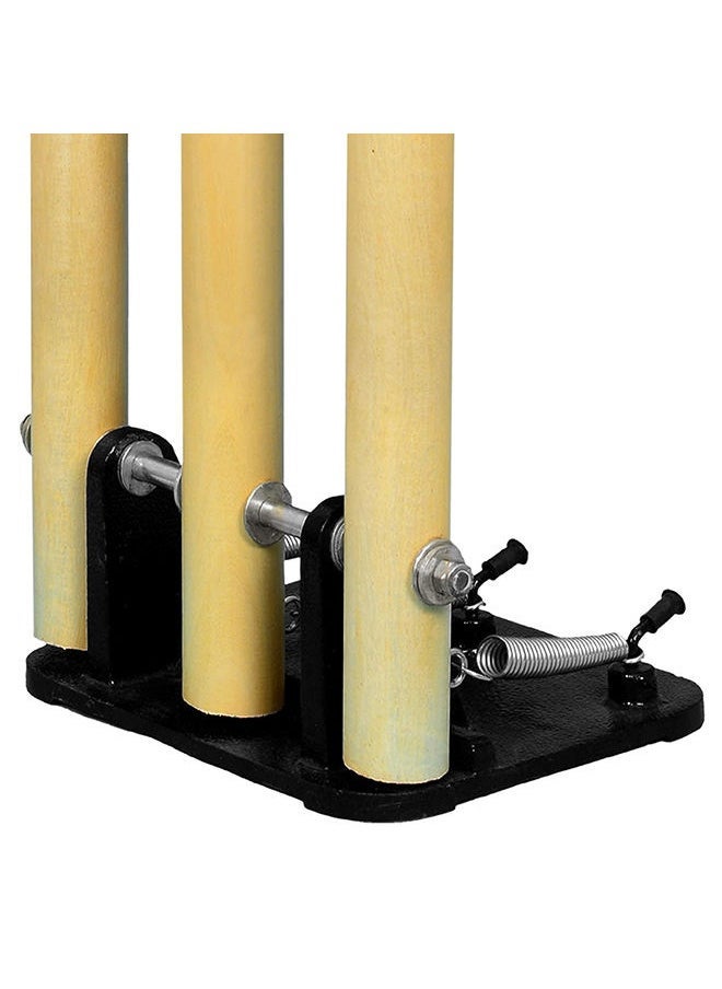 Generic Set of Wicket with Metal and Springed Base with One Bat and Two Balls  - Image 3