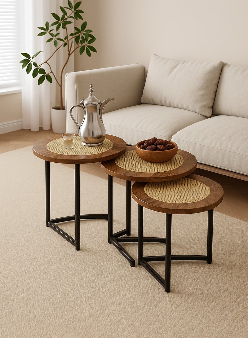 شي ون طقم طاولات قهوة دائرية من SHEE ONE بتصميم خشب طبيعي فاخر وسطح قشّ أنيق | 3 قطع عملية للمجالس والصالات | طاولة ديكور وضيافة قابلة للتداخل لتوفير المساحة | أرجل معدنية متينة | الأبعاد:  50×50×50 سم، 45×45×45 سم، 40×40×40 سم - Image 1