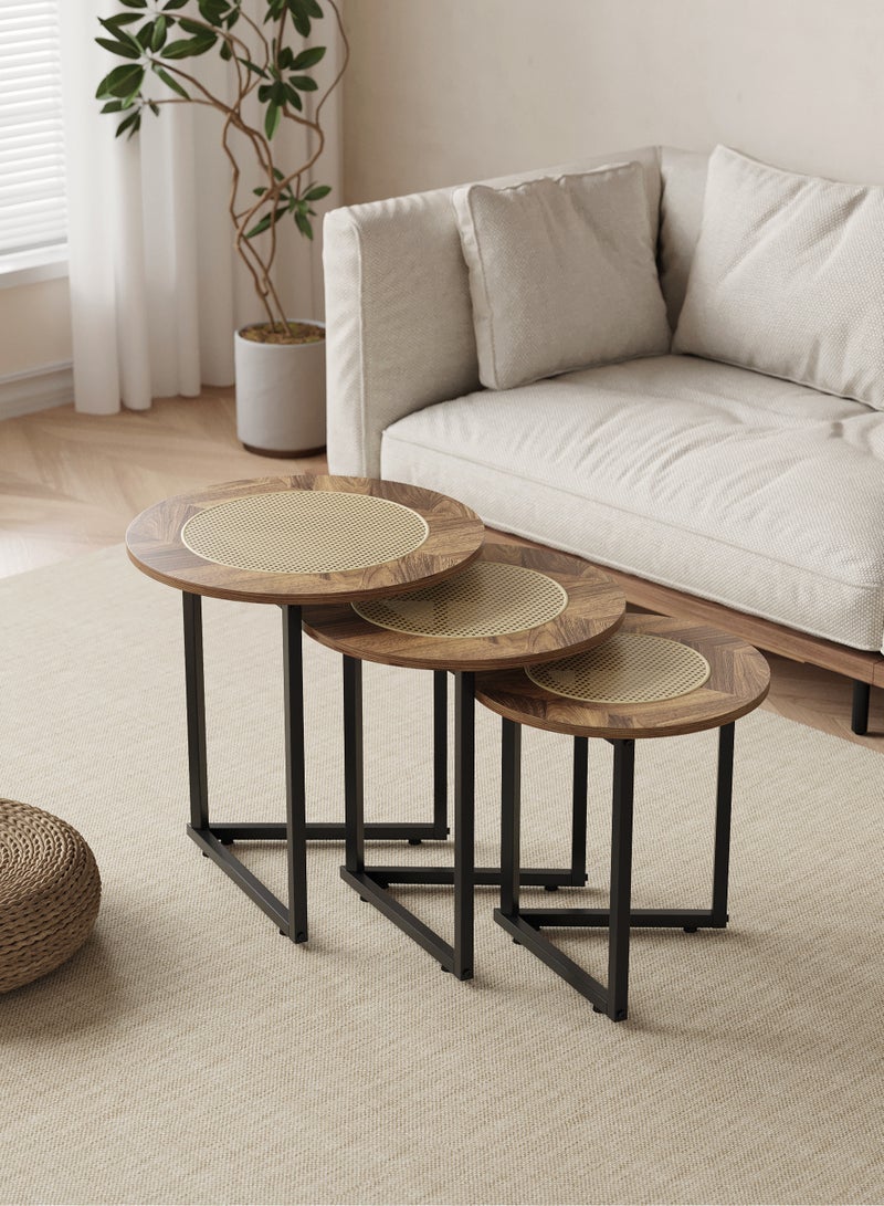 شي ون طقم طاولات قهوة دائرية من SHEE ONE بتصميم خشب طبيعي فاخر وسطح قشّ أنيق | 3 قطع عملية للمجالس والصالات | طاولة ديكور وضيافة قابلة للتداخل لتوفير المساحة | أرجل معدنية متينة | الأبعاد:  50×50×50 سم، 45×45×45 سم، 40×40×40 سم - Image 2
