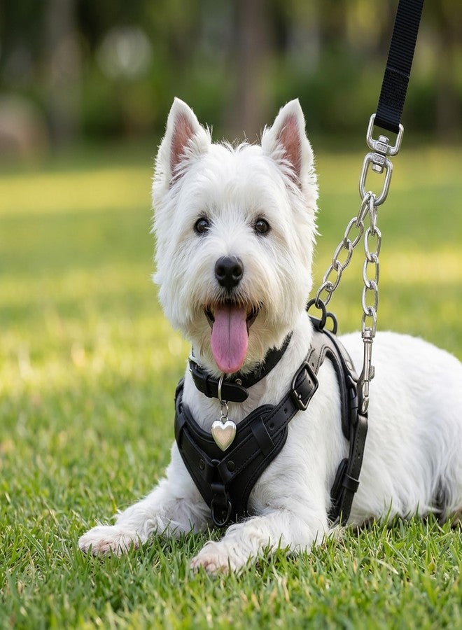 HaiFafafaing Prong Collar Safety Clip, Safety Clip for Dog Collar, Dual Clasp Pet Leash Backup, Collars Harness Connector for Medium Large Breeds - Image 5