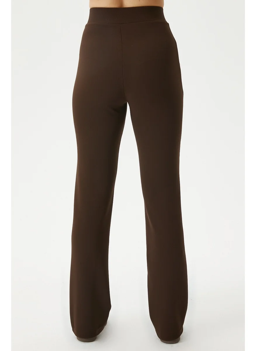 Ritnice Women's Straight Lycra Brown Trousers