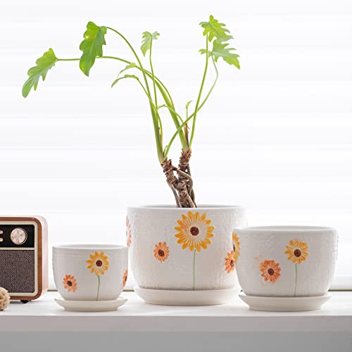 Ton Sin Plant Pots,Set of 3 Ceramic Sunflower Flower Pots for Indoor Plants,4+5+6 inch Pots with Drainage Hole Saucer,Garden Pots Catus Planters - Image 5