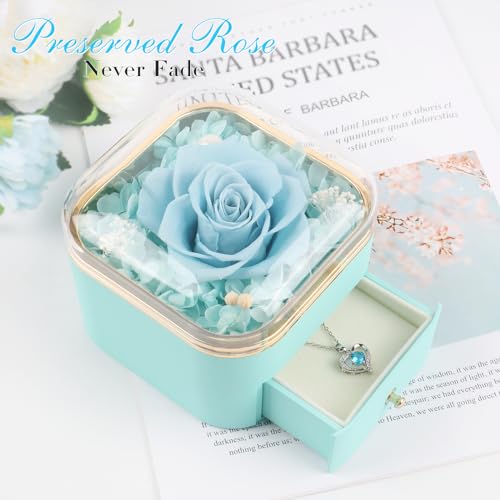 Beferr Gifts for Mom Preserved Real Rose with Necklace Eternal Roses Forever Flowers for Delivery Anniversary Birthday Mothers Day Flower Gifts for Women Her Grandma Wife Daughter Girlfriend - Image 4